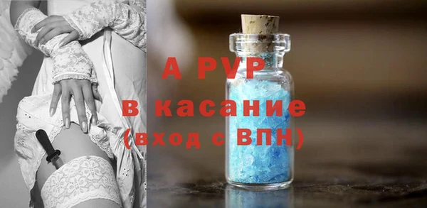 ПСИЛОЦИБИНОВЫЕ ГРИБЫ Белоозёрский