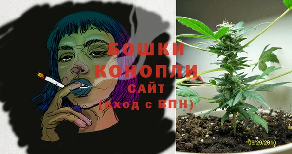 ПСИЛОЦИБИНОВЫЕ ГРИБЫ Белоозёрский