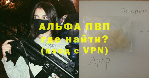 ПСИЛОЦИБИНОВЫЕ ГРИБЫ Белоозёрский