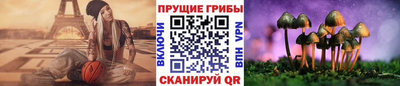 Псилоцибиновые грибы Psilocybe  Белоярский 